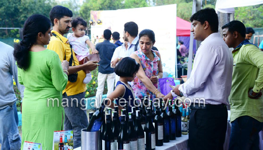 wine fest 26 nov 16 4